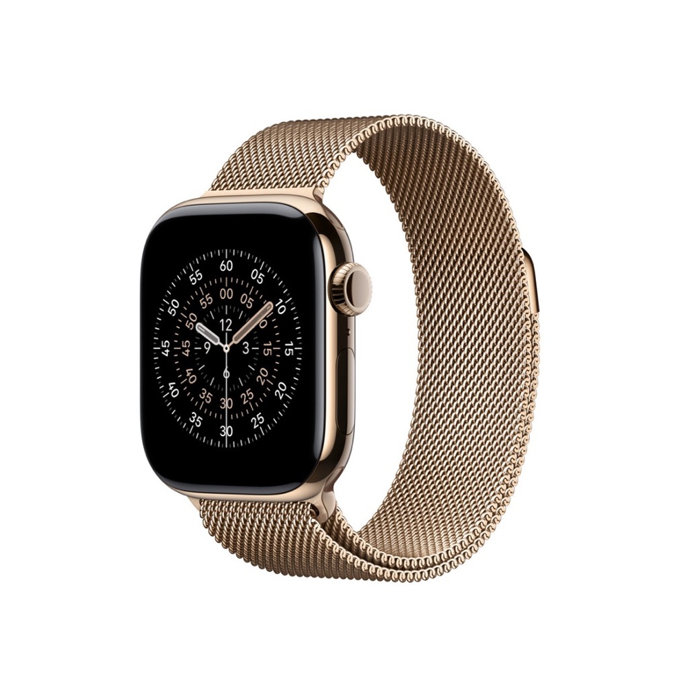 Apple Stainless Steel Watch Band